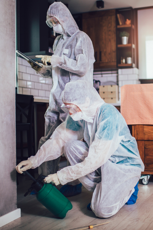 Deux hommes en combinaison de protection nettoient une cuisine.