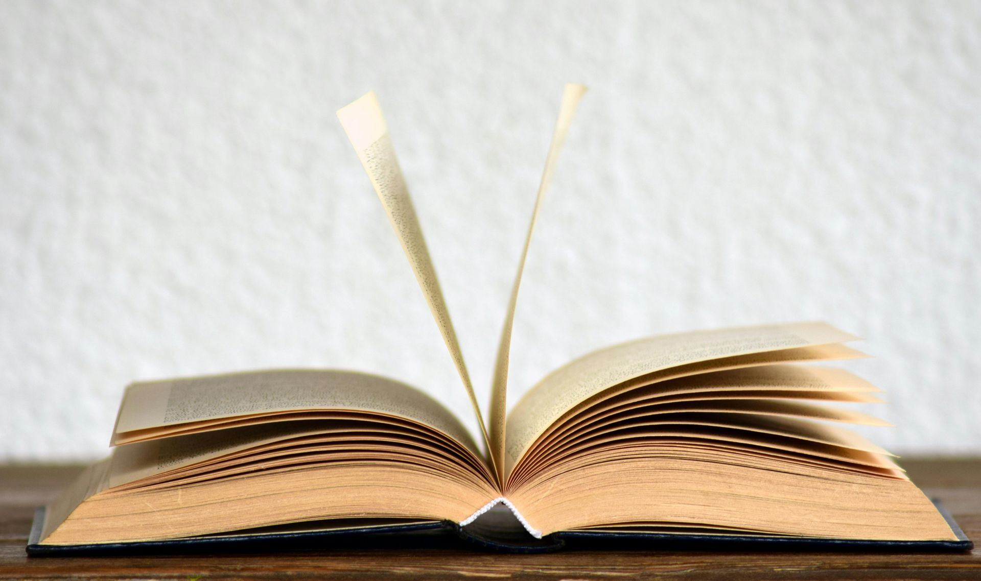 Open book on wooden surface; light-colored pages, white background.