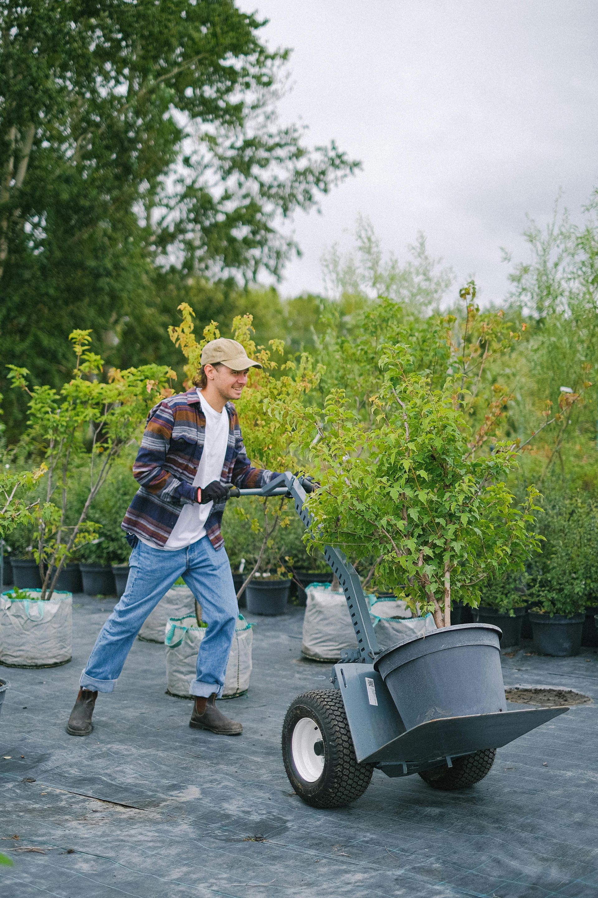 Un homme pousse une brouette pleine de plantes en pot.