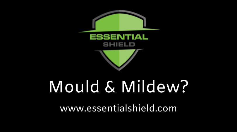 Mould Removal | Sunshine Coast | Essential Shield
