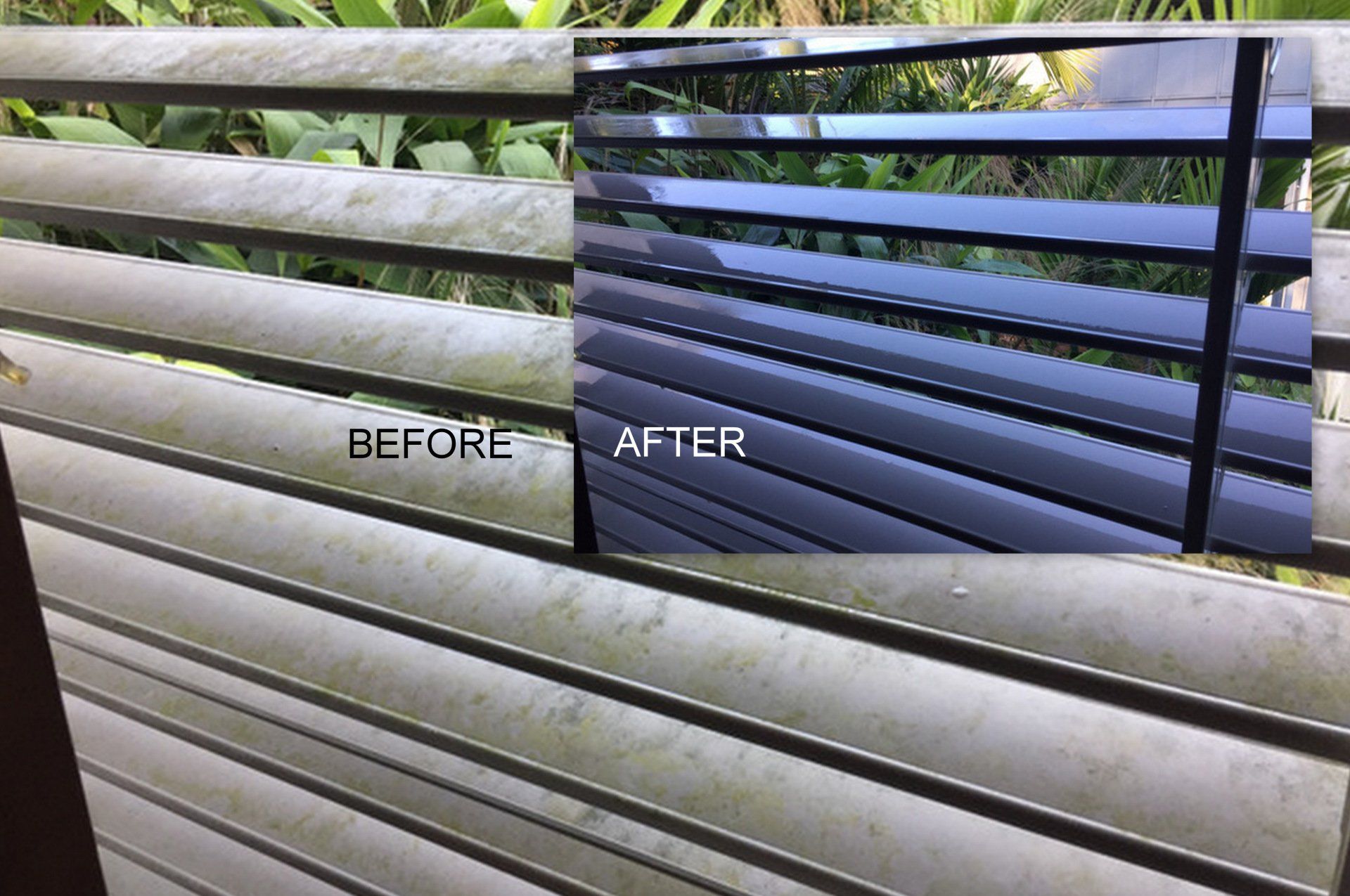 Chatswood Mould Removal - Mr Mould