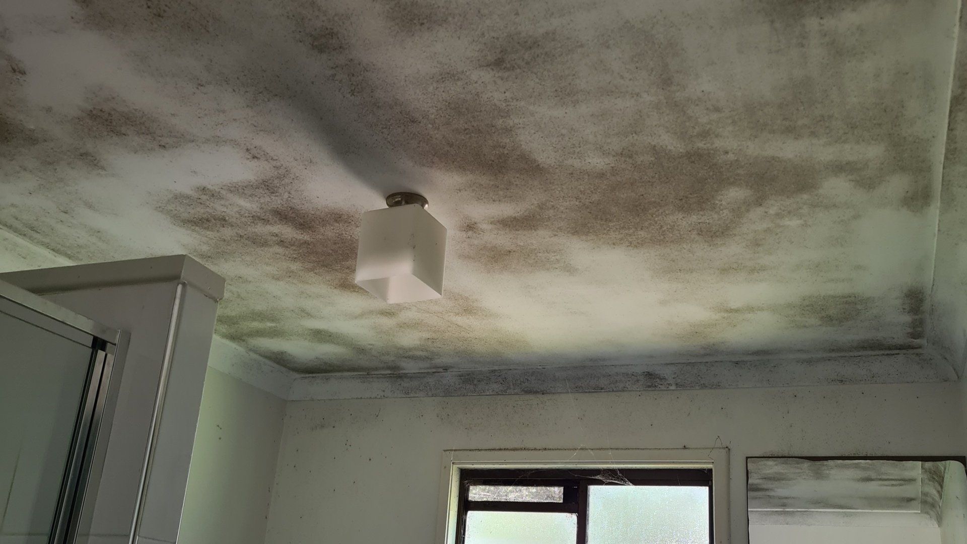 The wet season in Australia is expected to increase mould. How can you reduce health risks?
