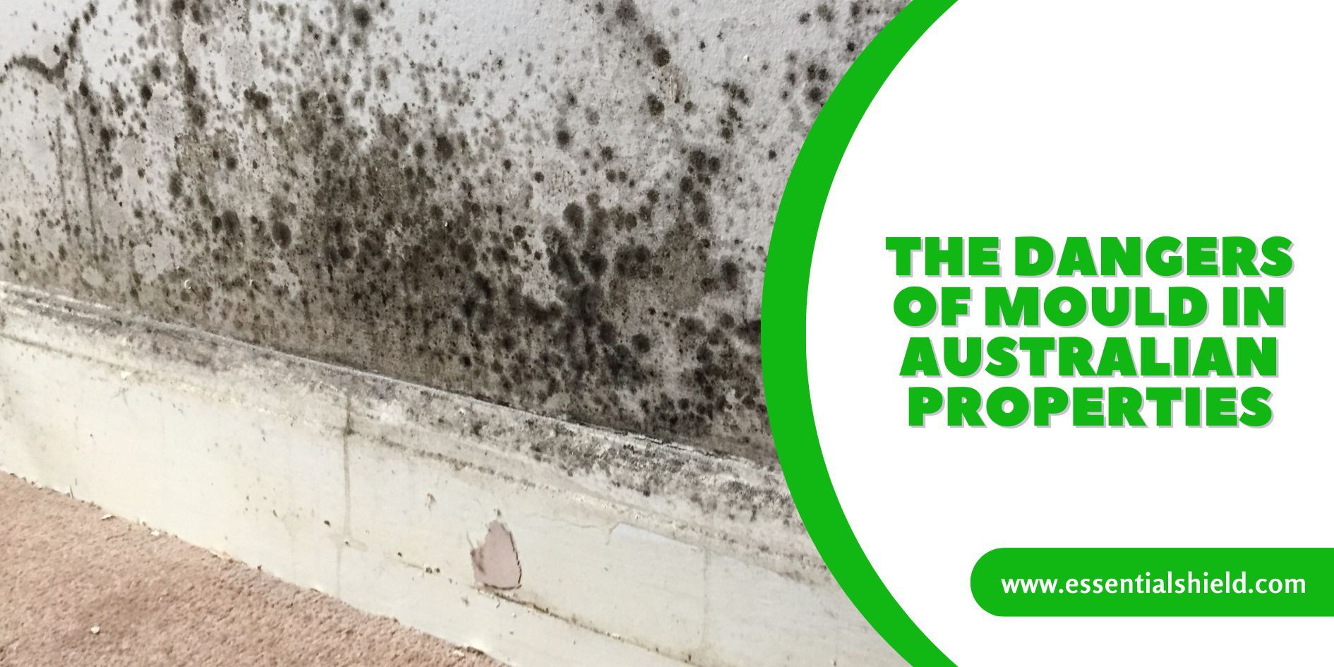 The Dangers of Mould in Australian Properties