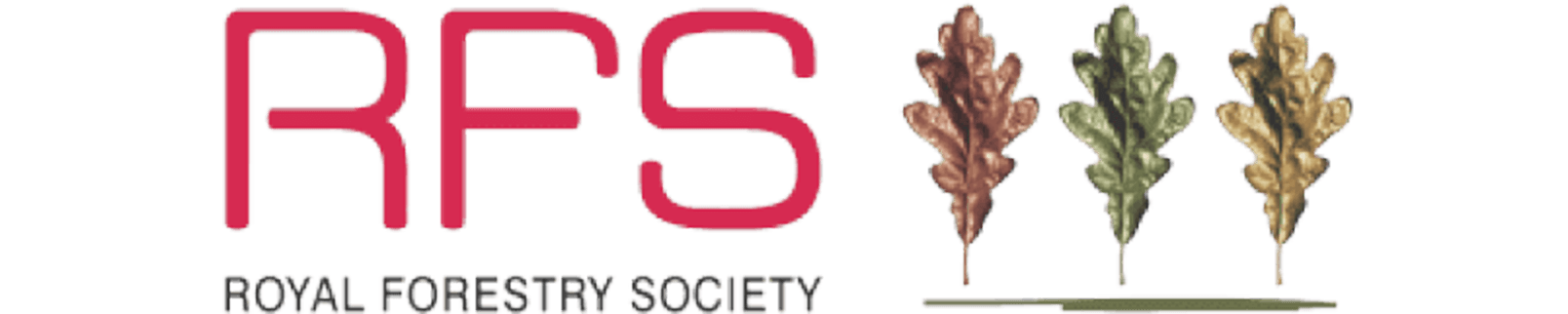 Newcastle Tree Services