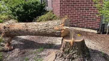 A large log is sitting on top of a tree stump in front of a brick building.