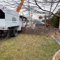 A tree surgeon is cutting a tree in a backyard.