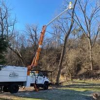 A truck with a crane attached to it is cutting a tree.