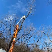 A crane is cutting a tree with a blue sky in the background.