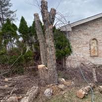 A tree that has been cut down in front of a brick house.