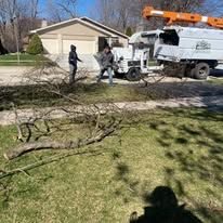 A man is standing next to a tree stump in front of a truck.