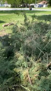A pile of branches and twigs laying on the ground in a park.