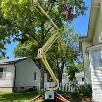 A crane is sitting on top of a tree in front of a house.