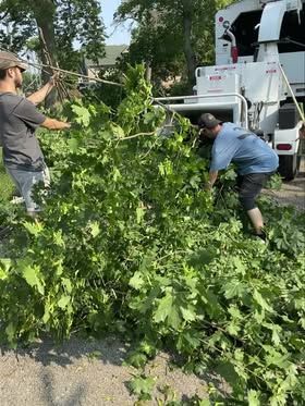 Two men are standing next to a large pile of leaves.