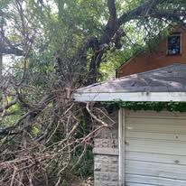 A tree has fallen on top of a garage door.