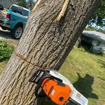 A chainsaw is sitting next to a tree trunk.