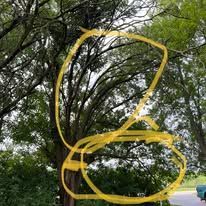 A tree with a yellow circle drawn around it.