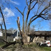 A tree that has been cut down in front of a house.