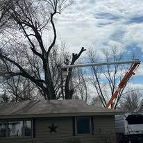 A crane is cutting a tree in front of a house.
