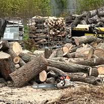 A pile of logs with a chainsaw sitting on top of them.