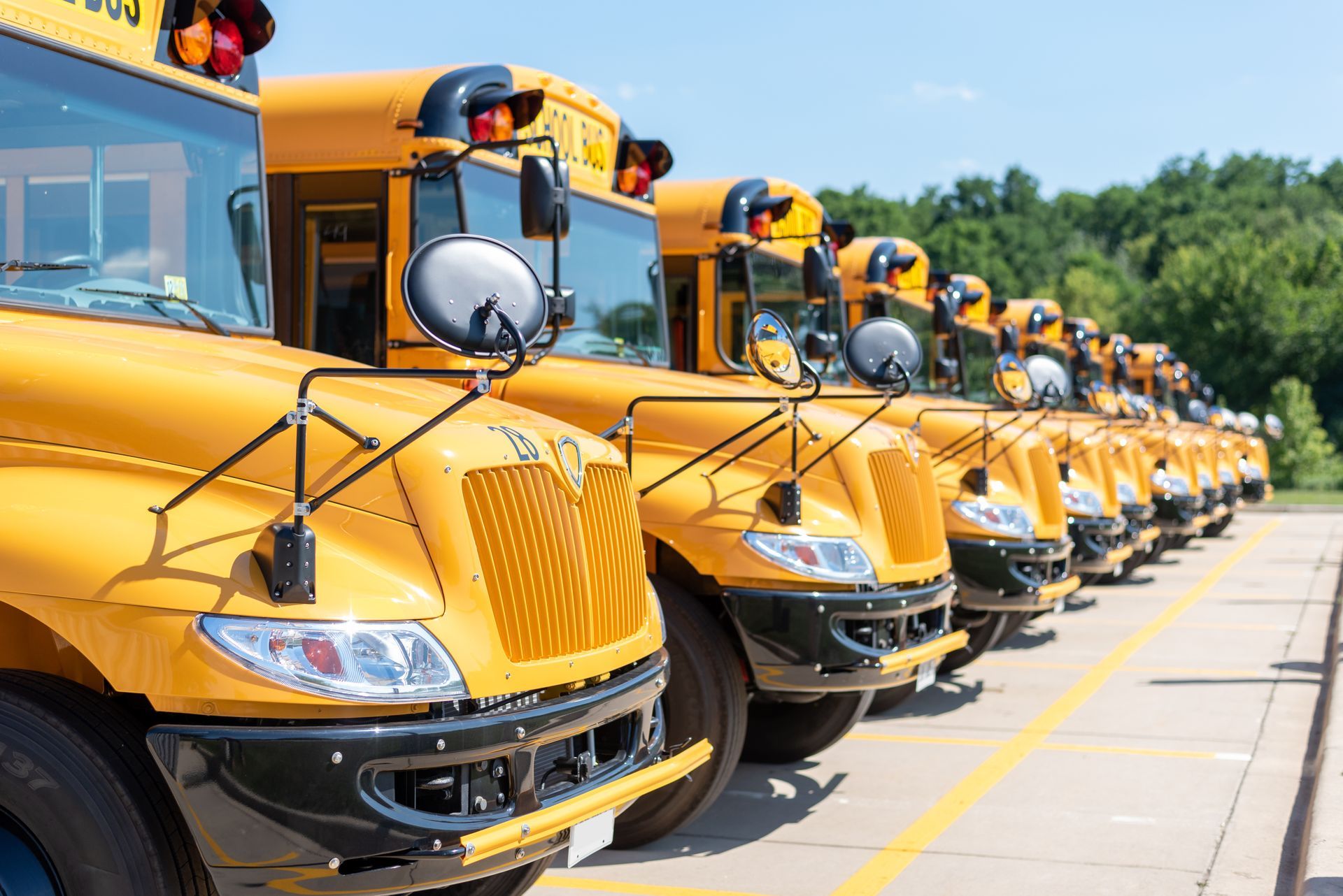 Yellow school buses parked in a row on a sunny day.