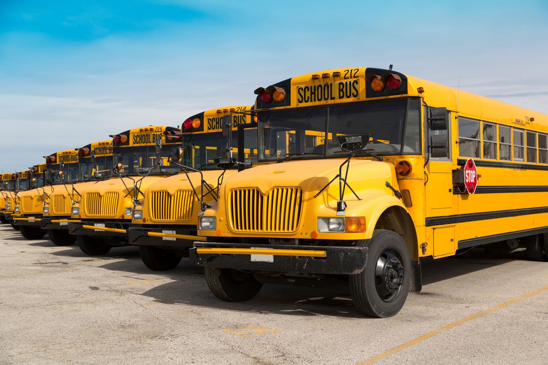 Yellow school buses parked in a lot under a clear blue sky.