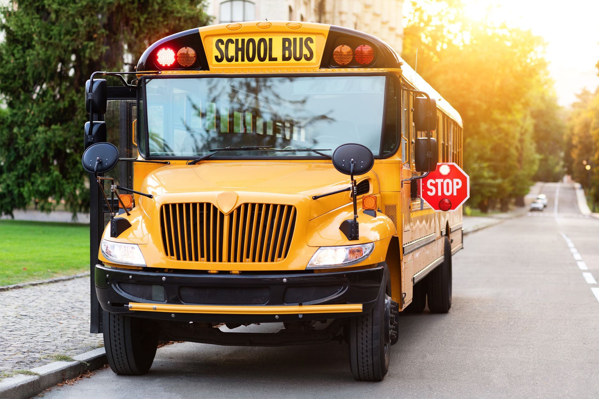 Yellow school bus on a road, stop sign extended. Sunlight.