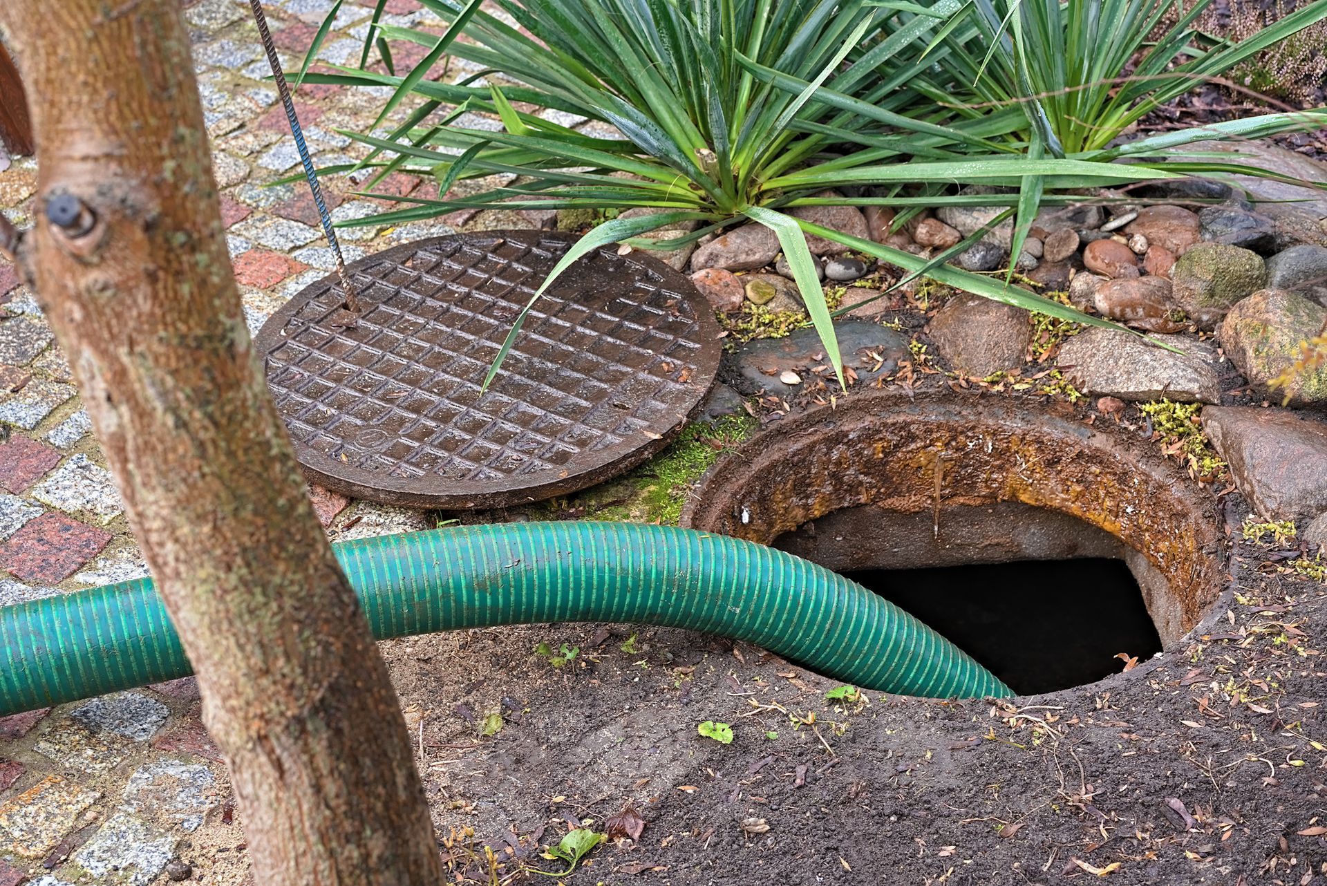 Open garden manhole with a green hose inserted, surrounded by soil and a nearby cover.