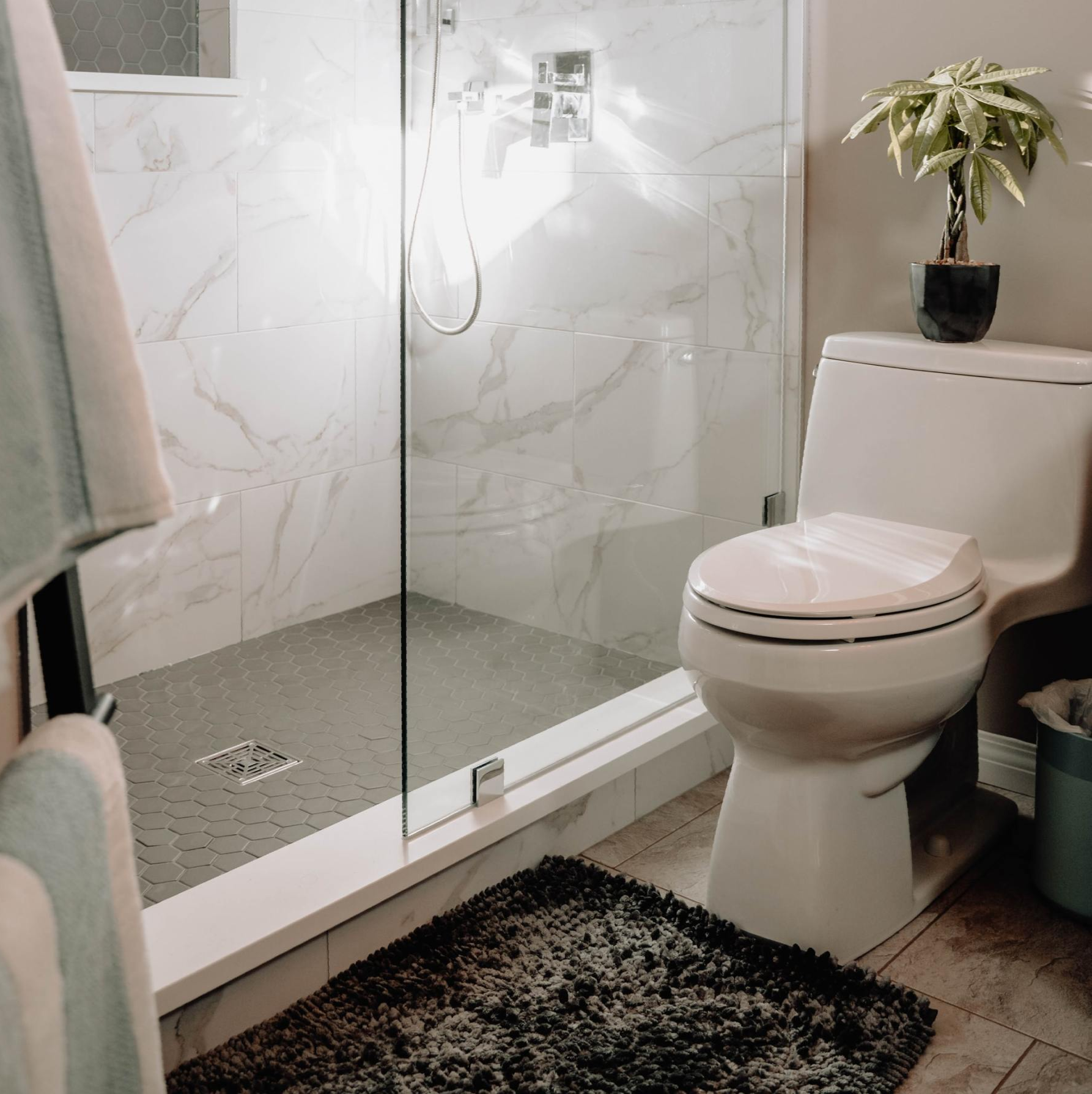 A bathroom with a toilet and a walk in shower