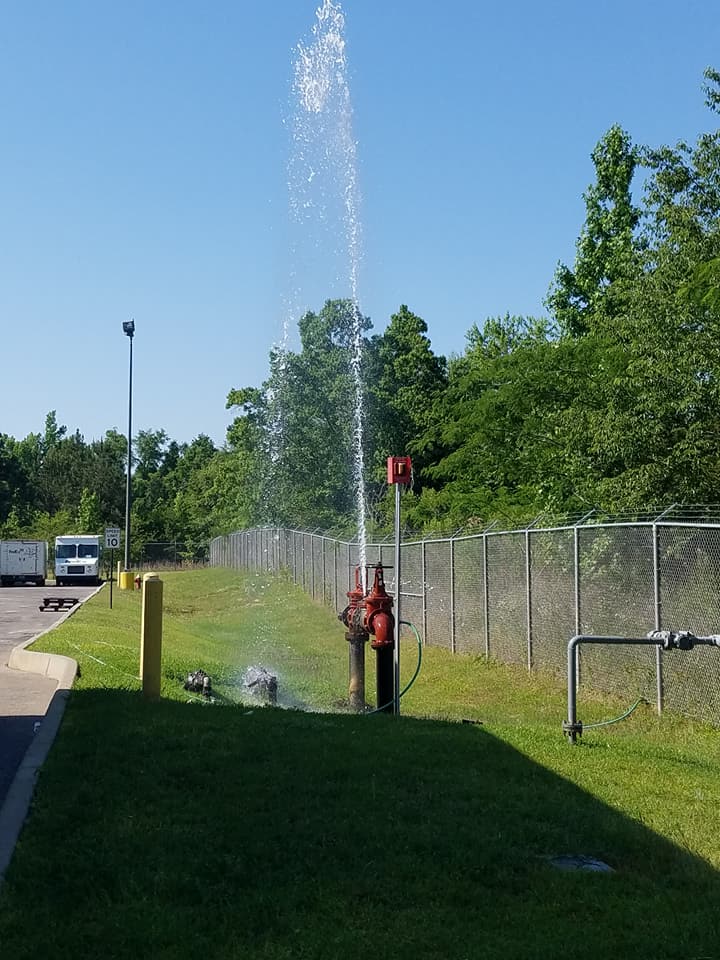 A fire hydrant is spraying water in a grassy area