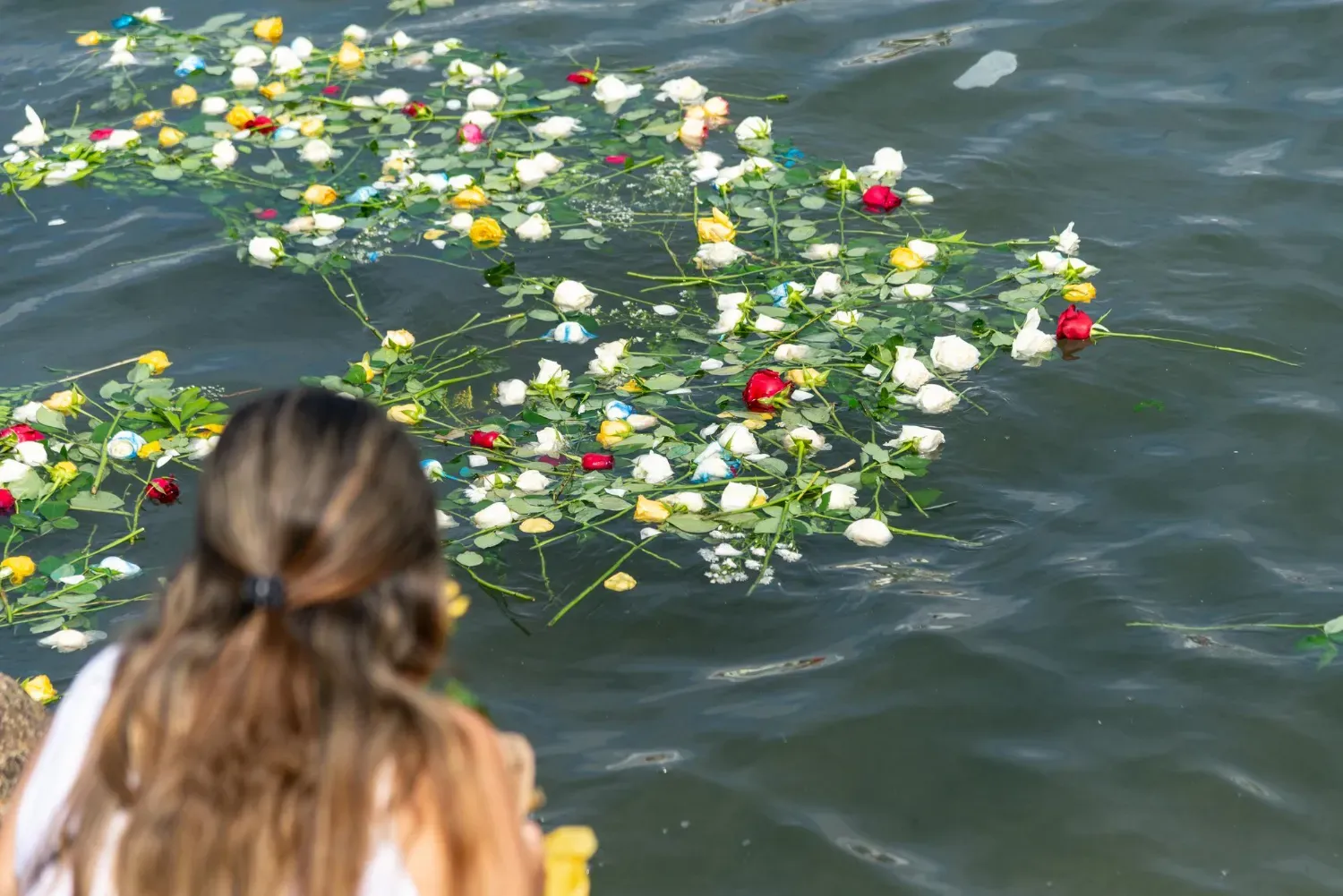A person views a cluster of white, red, and yellow roses floating on the surface of dark water.