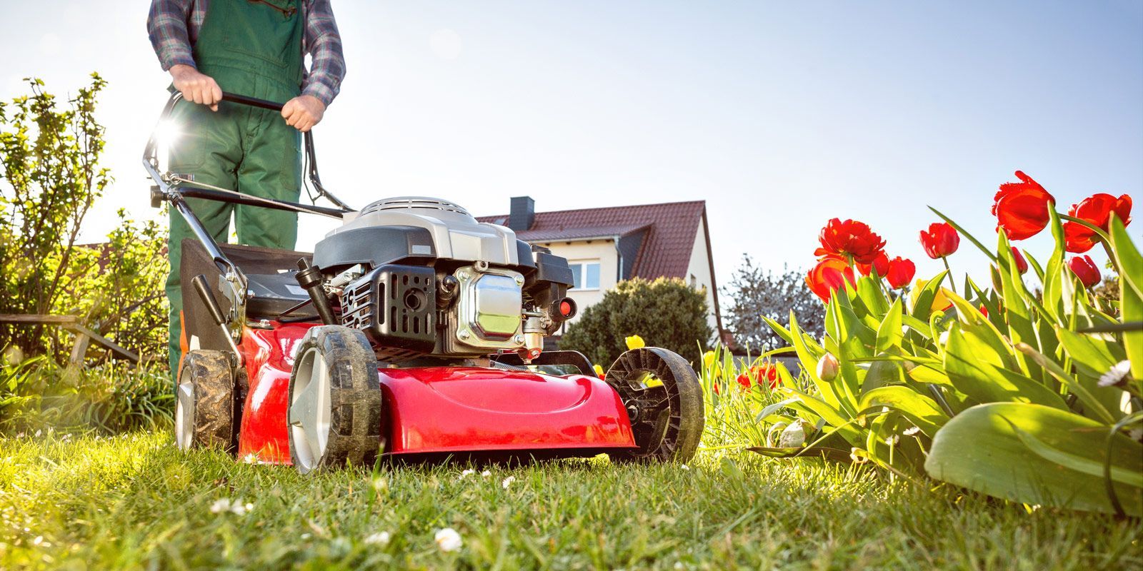 Manual Petrol Lawnmower — Stewartville, MN — Complete Outdoor Service LLC