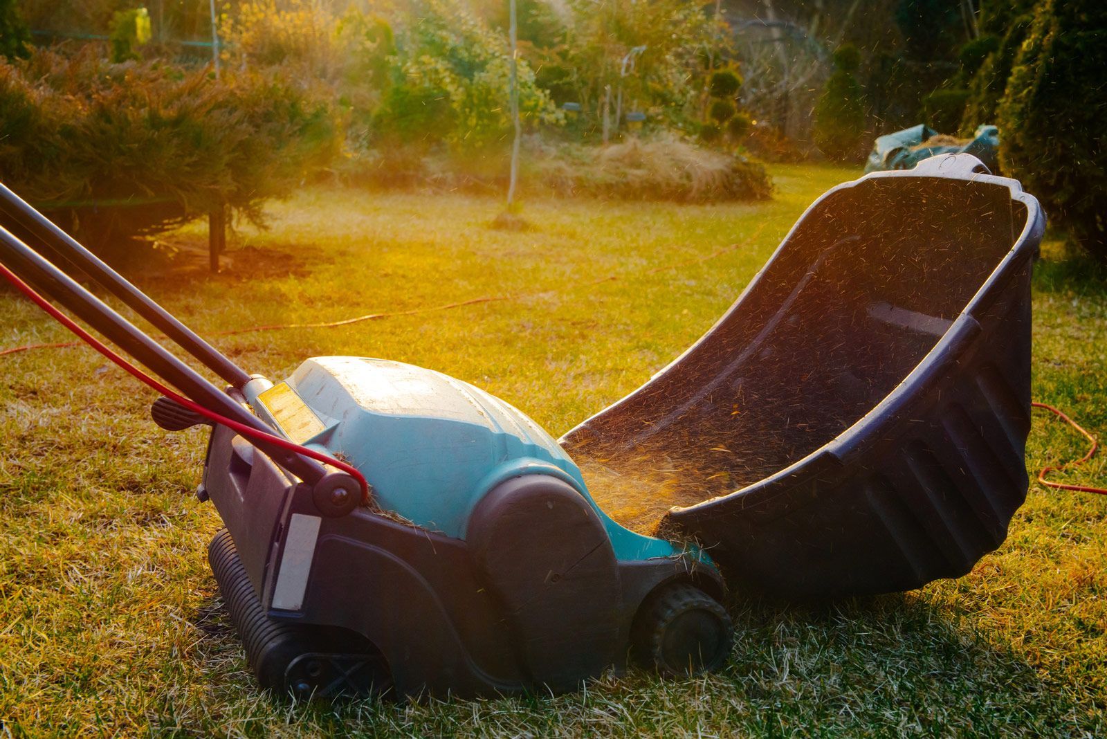 Scarifier In The Garden — Stewartville, MN — Complete Outdoor Service LLC