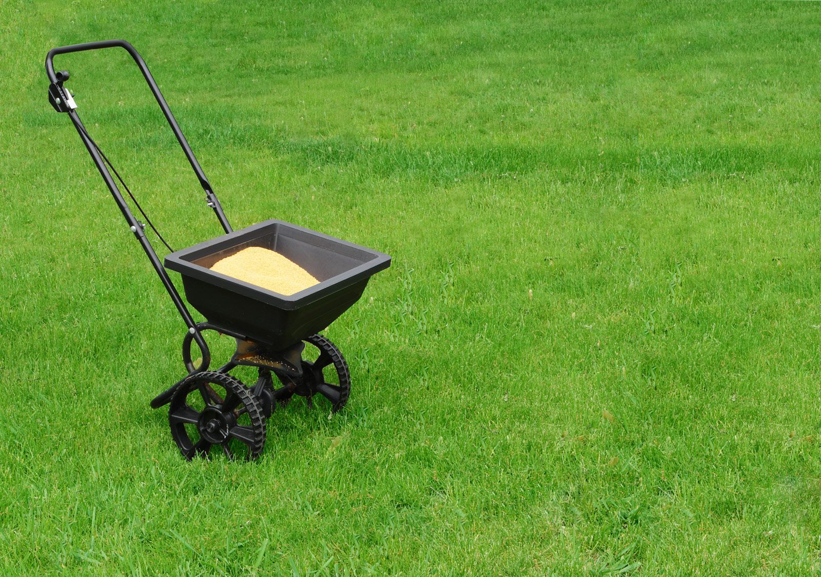 Lawn Seed Spreader — Stewartville, MN — Complete Outdoor Service LLC