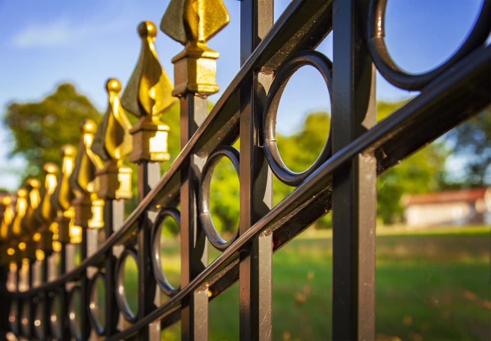 A Close Up Of A Black And Gold Wrought Iron Fence In A Park — A Betta Fence 'N' Yard In Port Macquarie, NSW