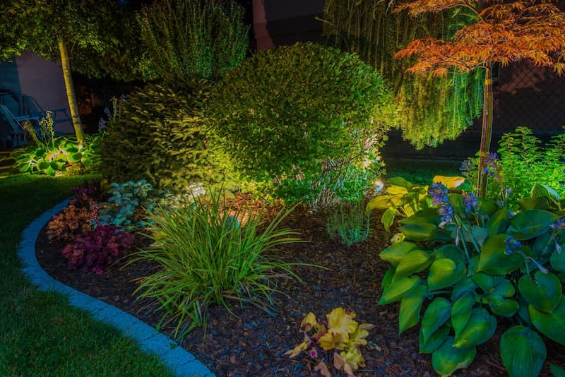 A Garden With Lots Of Plants And Trees Is Lit Up At Night — A Betta Fence 'N' Yard In Port Macquarie, NSW