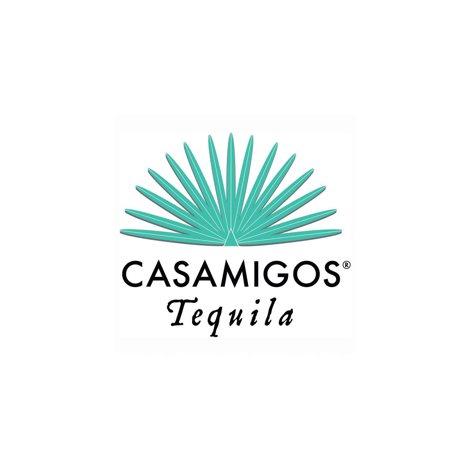 A logo for casamigos tequila with a green agave leaf on a white background.