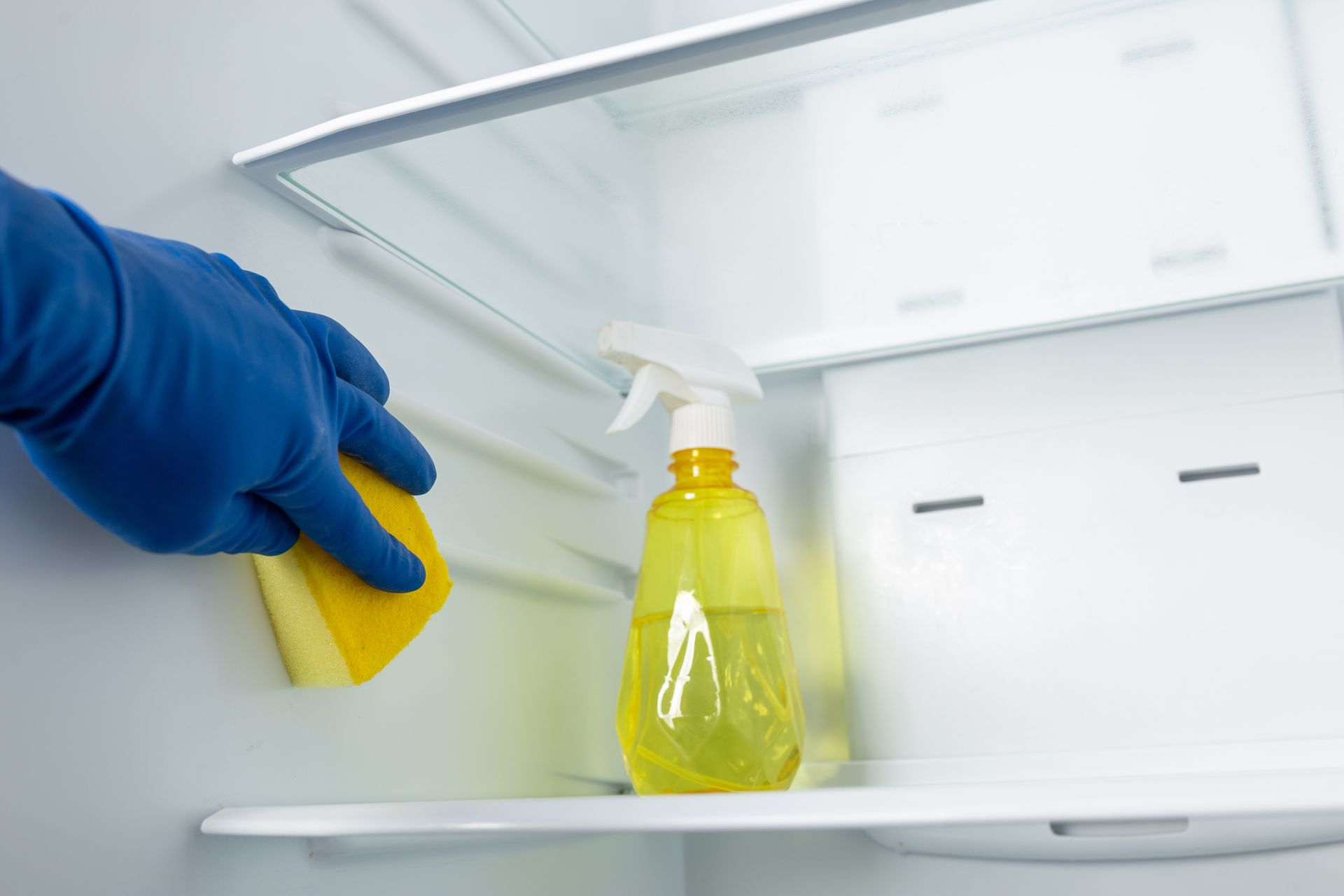 Person in blue gloves cleaning a refrigerator interior with a yellow sponge and spray bottle.