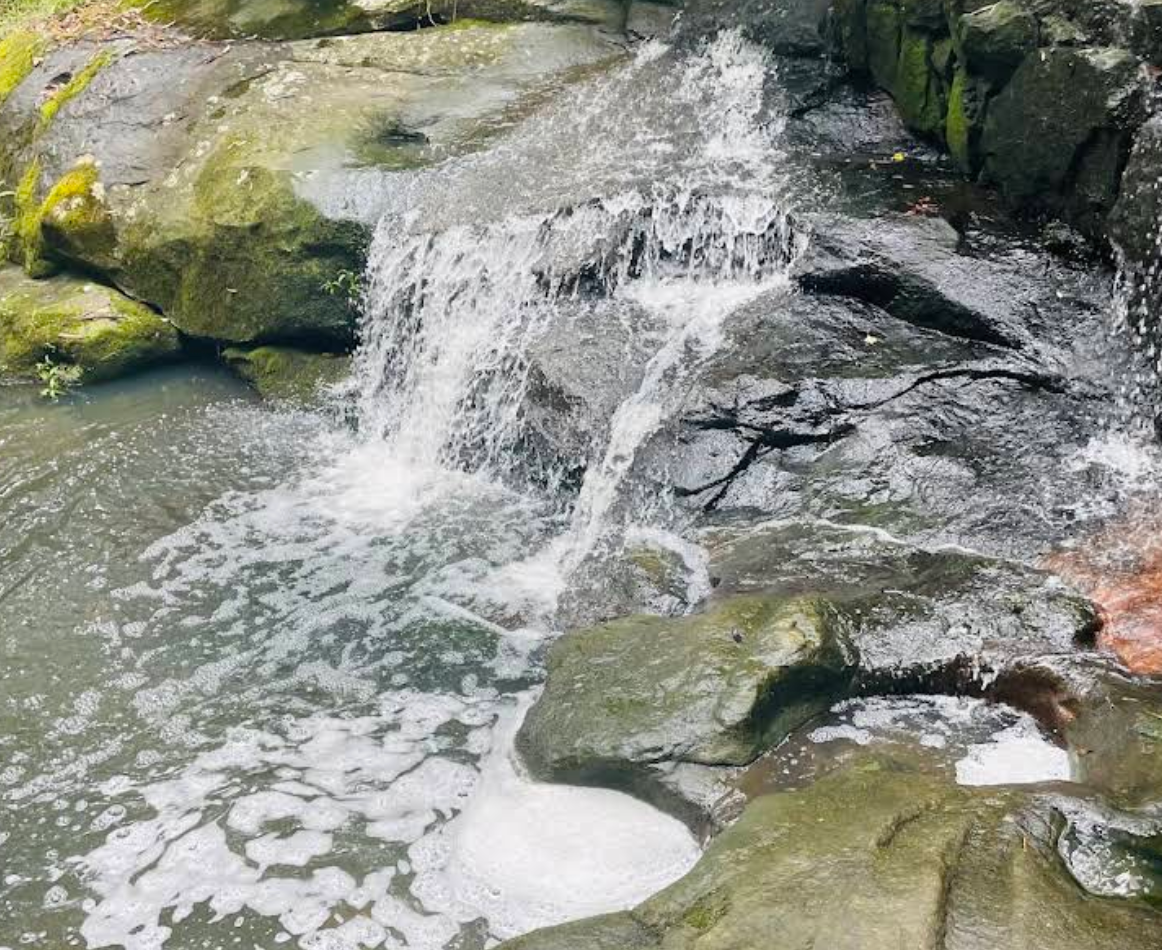 Roller Shutters Installation