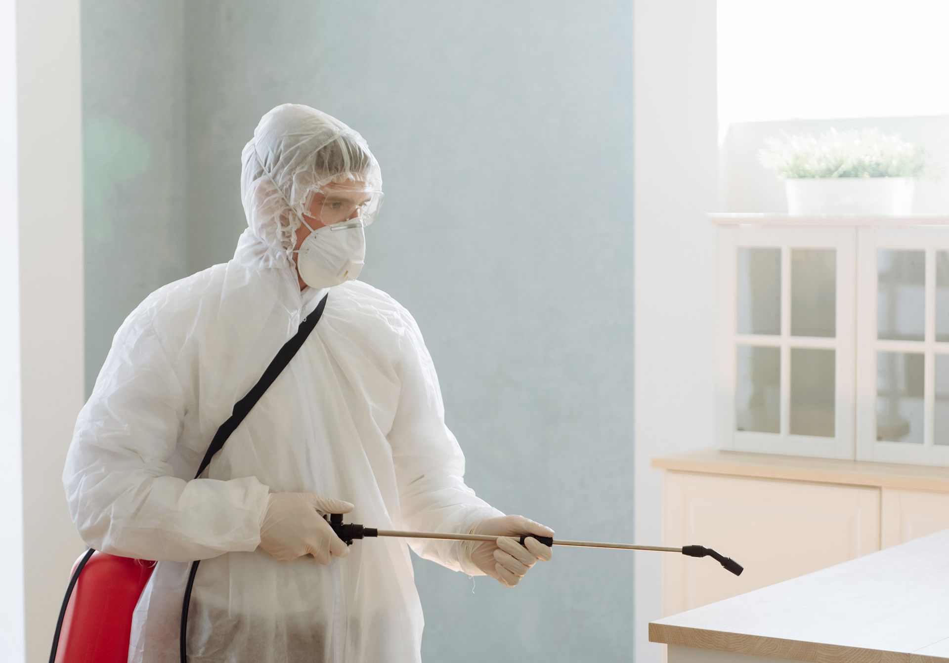 A professional contractor pests pests or viruses by disinfecting a home.