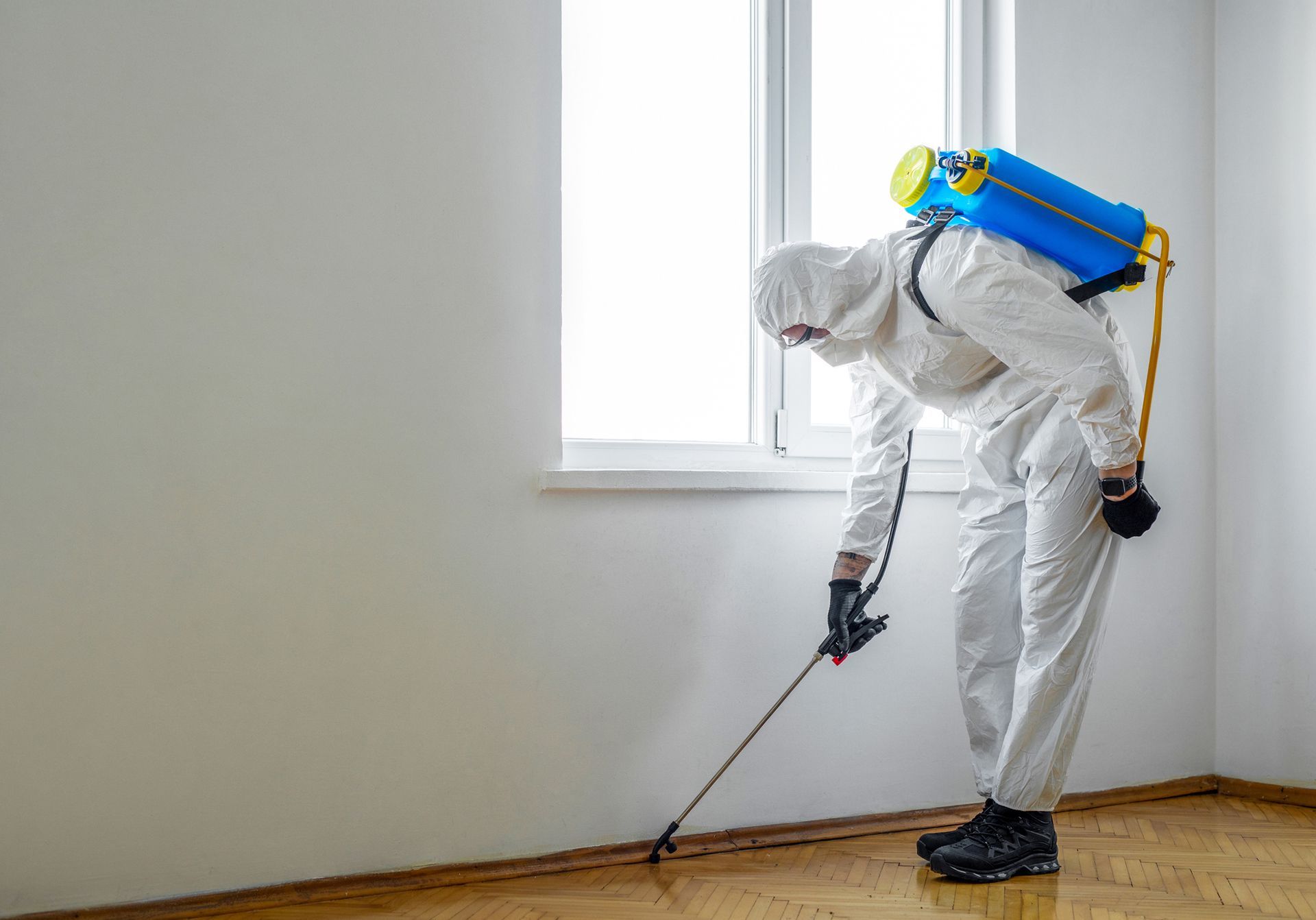 Exterminator in work spraying pesticide or insecticide with sprayer.