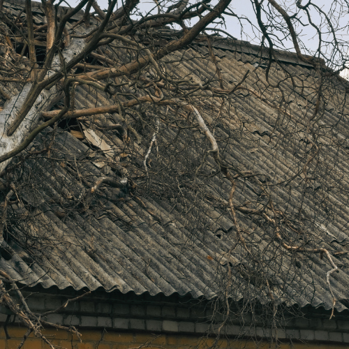 tree-service-avondale-arizona