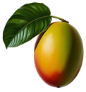 eine Mangofrucht als symbol für den Firmennamen mangoxpreess