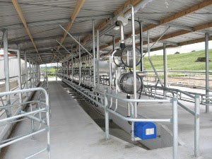 View of a Milking system
