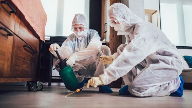 Two men in protective suits are cleaning a kitchen floor.