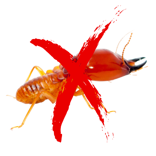 Termite crossed out with a red 