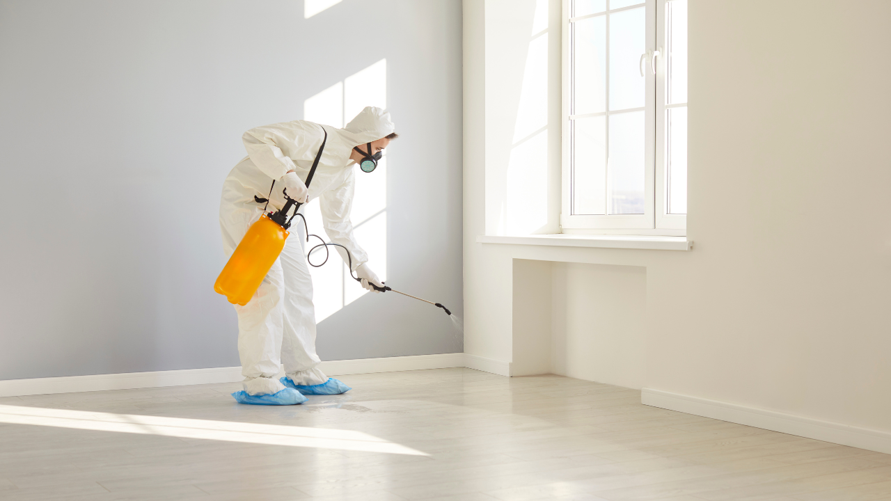 Warehouse interior with rows of storage racks filled with packaged goods.