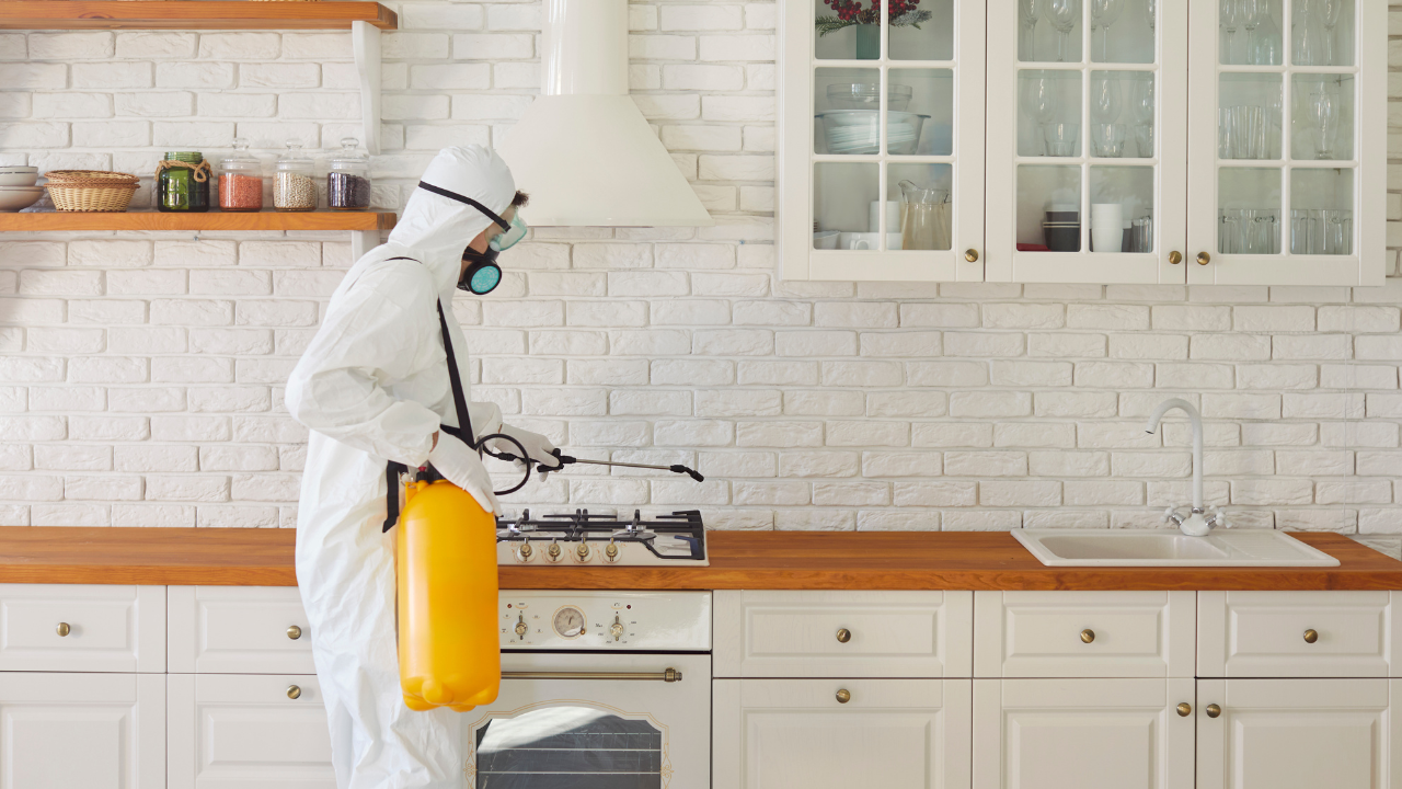 Dilapidated bathroom with peeling paint, bathtub, and window with diffused light.