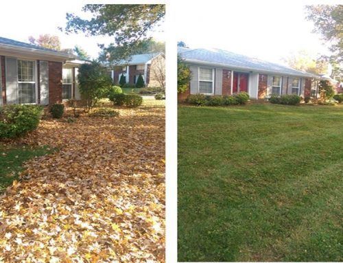 A before and after picture of a house with leaves on the ground