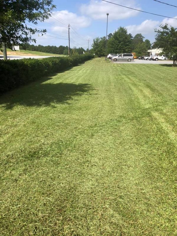 A lush green lawn is being mowed on a sunny day.