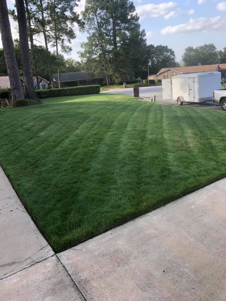 A lush green lawn is sitting next to a sidewalk.